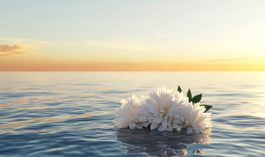 画像：海洋散骨